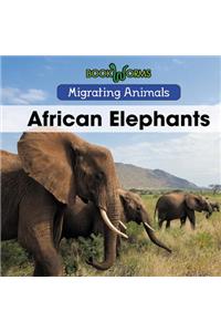 African Elephants