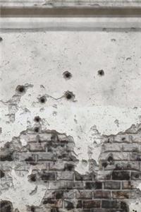 Bullet Holes in My Journal!