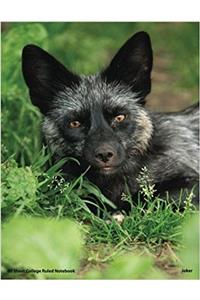 80 Page College Ruled Fox Notebook