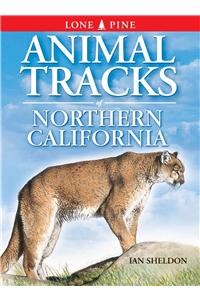 Animal Tracks of Northern California