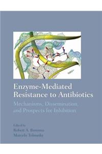 Enzyme-Mediated Resistance to Antibiotics