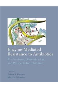 Enzyme-Mediated Resitance to Antibiotics