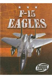 F-15 Eagles