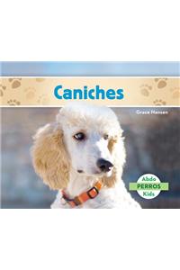Caniches (Poodles ) (Spanish Version)