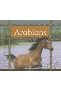 Arabians