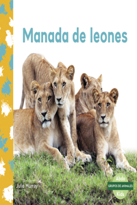 Manada de Leones (Lion Pride)