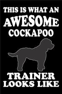 This is what an awesome Cockapoo Trainer Looks Like