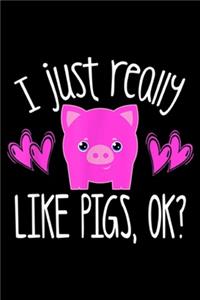 I Just Really Like Pigs, Ok?