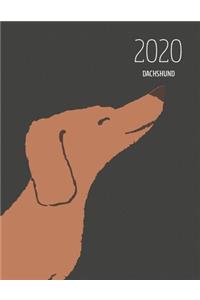 2020 Dachshund