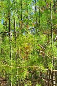 2020 Weekly Planner Pine Needles Spring Green 134 Pages