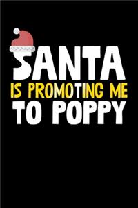 Santa Is Promoting Me To Poppy