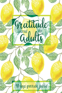 Gratitude Journal for Adults