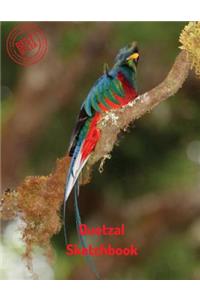 Quetzal Sketchbook