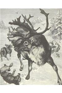 Vintage Reindeer Drawing School Comp Book 130 Pages