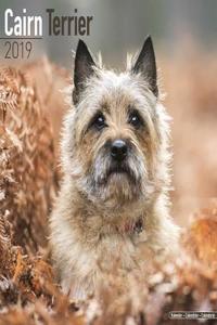 Cairn Terrier Calendar 2019