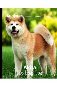 Akita - Live Love Dogs!