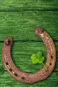 St Patricks Day Notebook