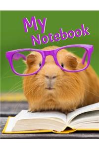 My Notebook