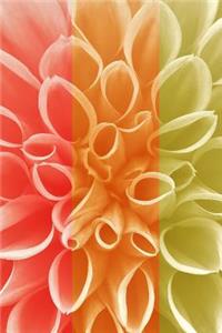 Rainbow Dahlia Journal