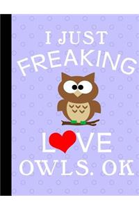 I Just Freaking Love Owls, Ok, Composition Notebook, 5x5 Quad Rule Graph Paper