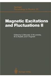 Magnetic Excitations and Fluctuations
