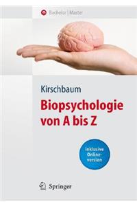 Biopsychologie Von a Bis Z