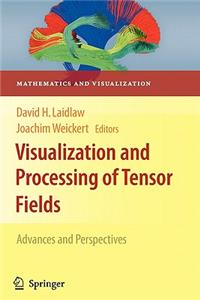 Visualization and Processing of Tensor Fields