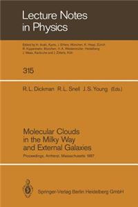 Molecular Clouds in the Milky Way and External Galaxies