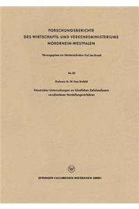 Feinstruktur-Untersuchungen an künstlichen Zellulosefasern verschiedener Herstellungsverfahren