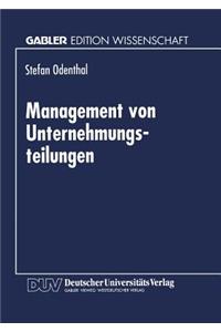 Management Von Unternehmungsteilungen