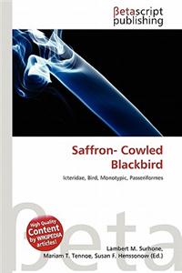 Saffron- Cowled Blackbird