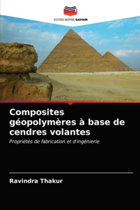 Composites géopolymères à base de cendres volantes