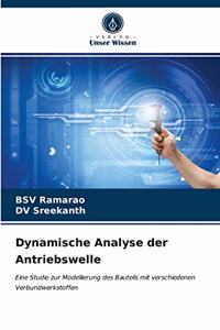 Dynamische Analyse der Antriebswelle