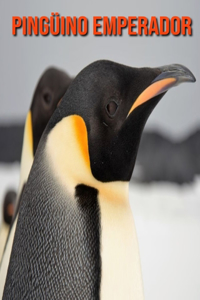 Pingüino emperador: Imágenes asombrosas y datos curiosos