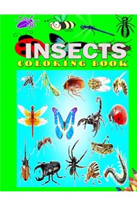 Insect Coloring Book