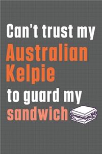 Can't trust my Australian Kelpie to guard my sandwich