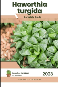 Haworthia turgida