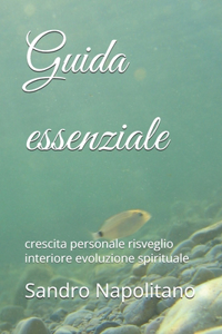 Guida essenziale