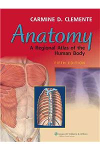 Anatomy: A Regional Atlas of the Human Body