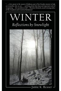 Winter: Reflections by Snowlight