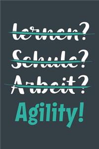 lernen? Schule? Arbeit? Agility!