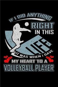 If I Did Anything Right in This Life It Was When I Gave My Heart to a Volleyball Player