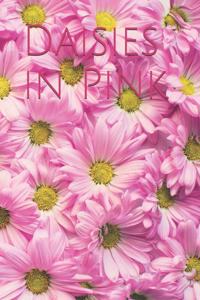 Daisies in Pink