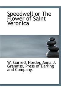 Speedwell or the Flower of Saint Veronica