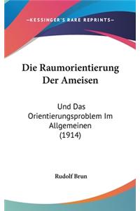 Die Raumorientierung Der Ameisen