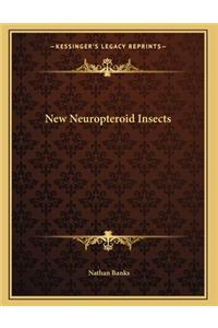 New Neuropteroid Insects