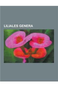Liliales Genera: Alstroemeria, Amana (Genus), Amianthium, Arachnitis, Bomarea, Burchardia, Calochortus, Cardiocrinum, Clintonia, Colchi