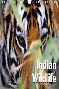 Indian Wildlife 2017
