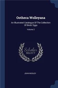 Ootheca Wolleyana