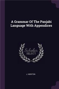 A Grammar Of The Panjabi Language With Appendices